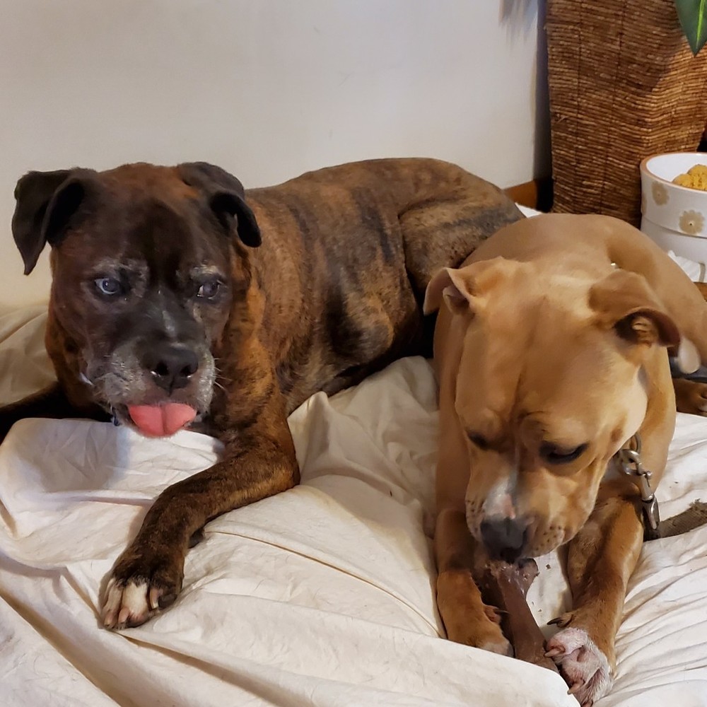 Meet your Posher, Roxanne